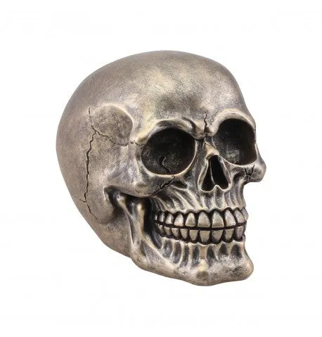 Feuillazur Rungis Crâne résine décoration bronze Halloween