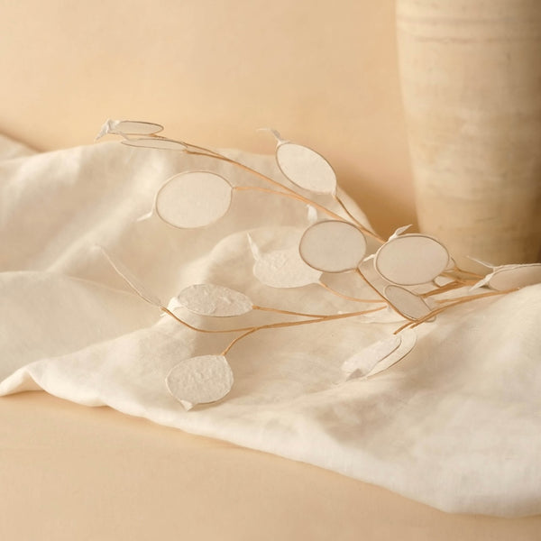 Flowrette monnaie du pape fleur papier blanc feuillage