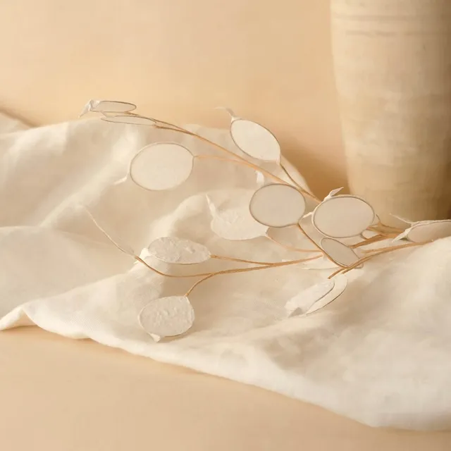 Flowrette Monnaie du pape papier blanche tige fleur x1 déco vase