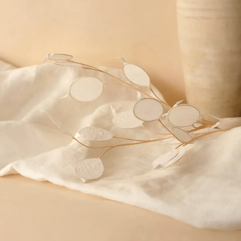 Flowrette Monnaie du pape papier blanche tige fleur x1 déco vase