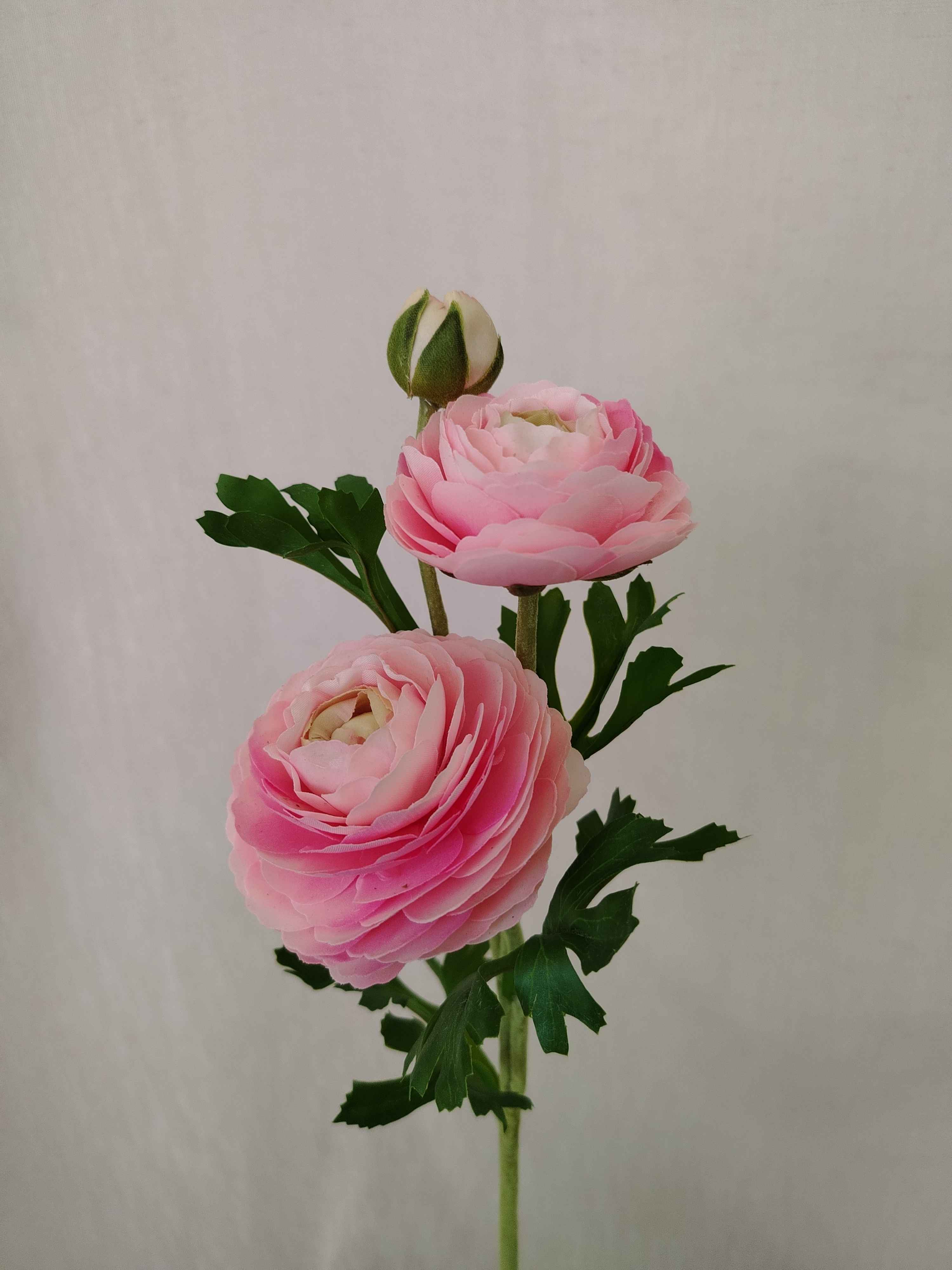 Flowrette Renoncule fleur artificielle rose poudré x1