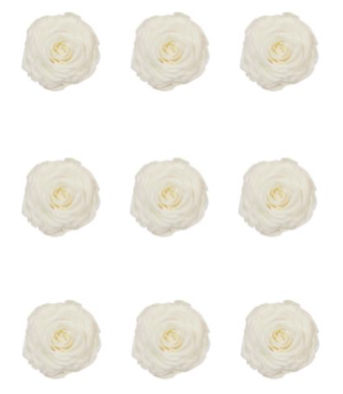 Feuillazur Rungis Rose stabilisée x9 rouge 4cm sans entretien