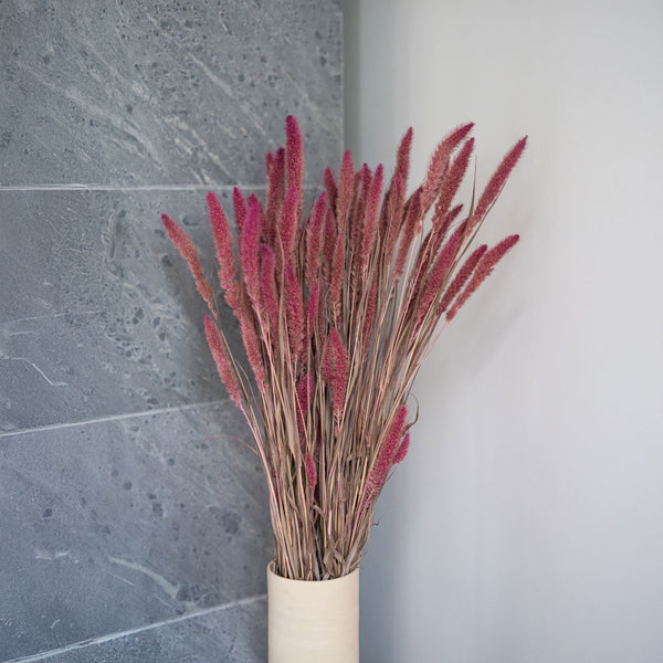 Flowrette Sétaire rose botte fleurs séchées poudré