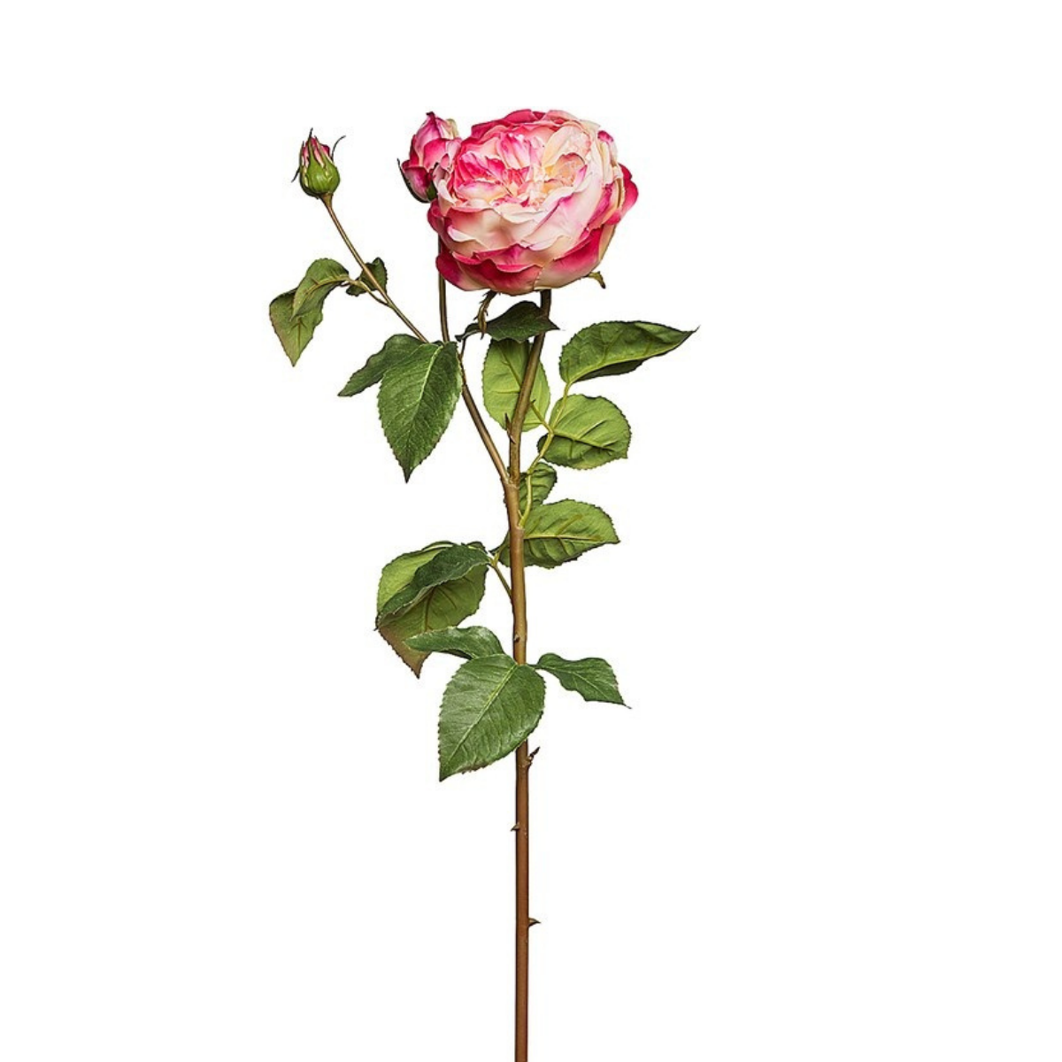 Sia Home Rose David fermée tige artificielle rose pâle 80 cm