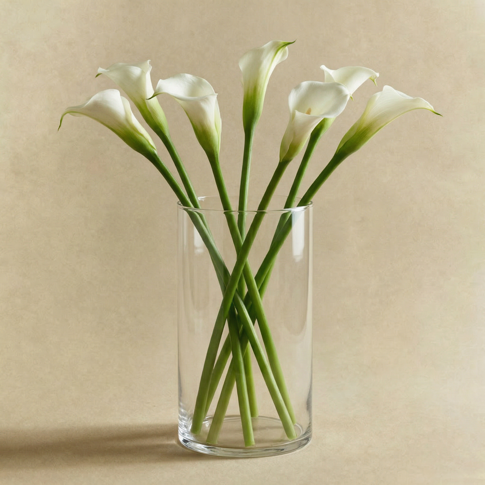 Sia Home Halo photophore verre transparent 16 cm