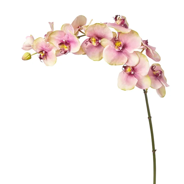 Sia Home Budy tige orchidée Phalaenopsis 104 cm rose