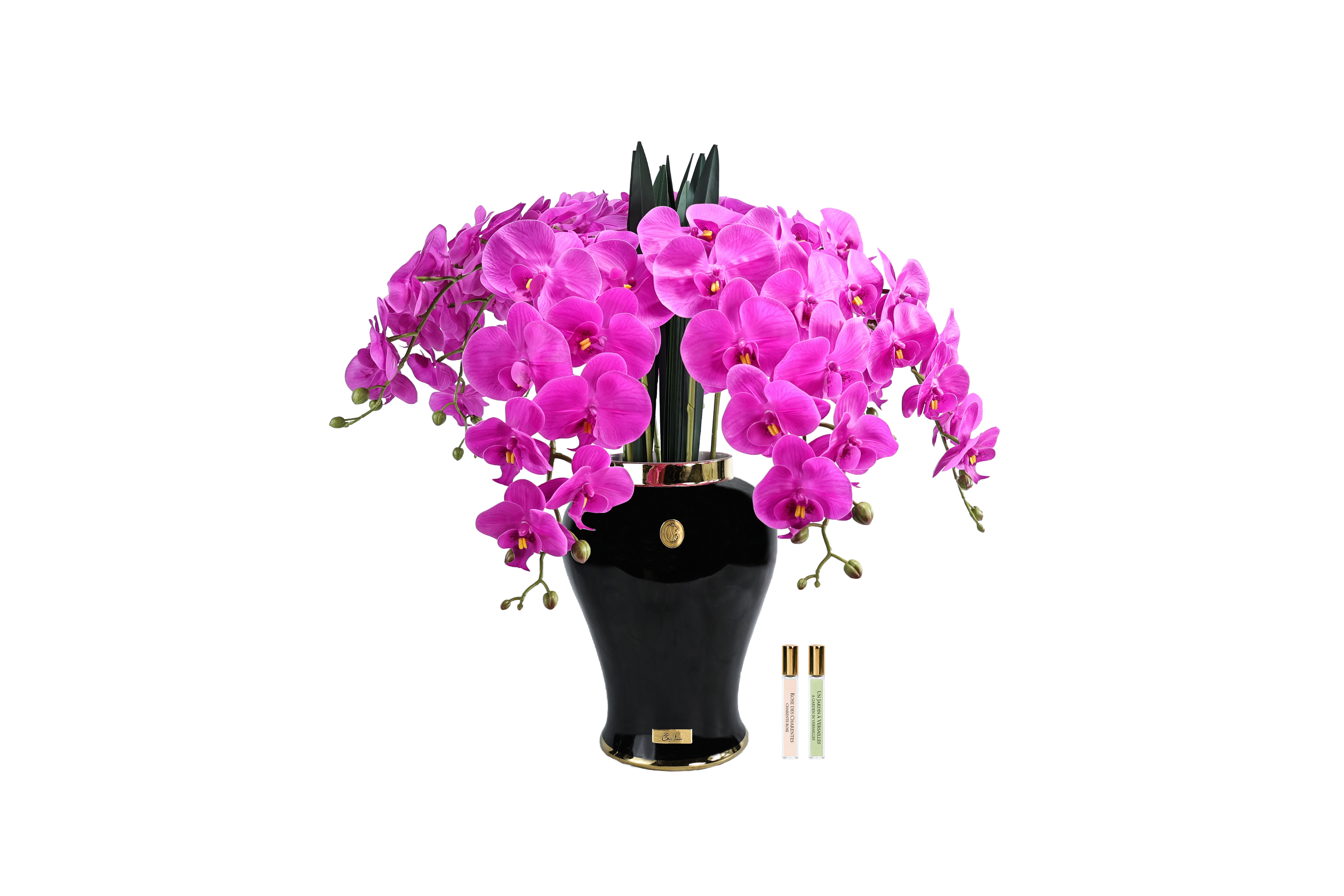 Côte Noire Imperial Orchidée Fuchsia Vase Noir