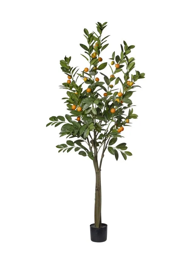 Feuillazur Rungis Oranger arbre artificiel orange 180cm salon