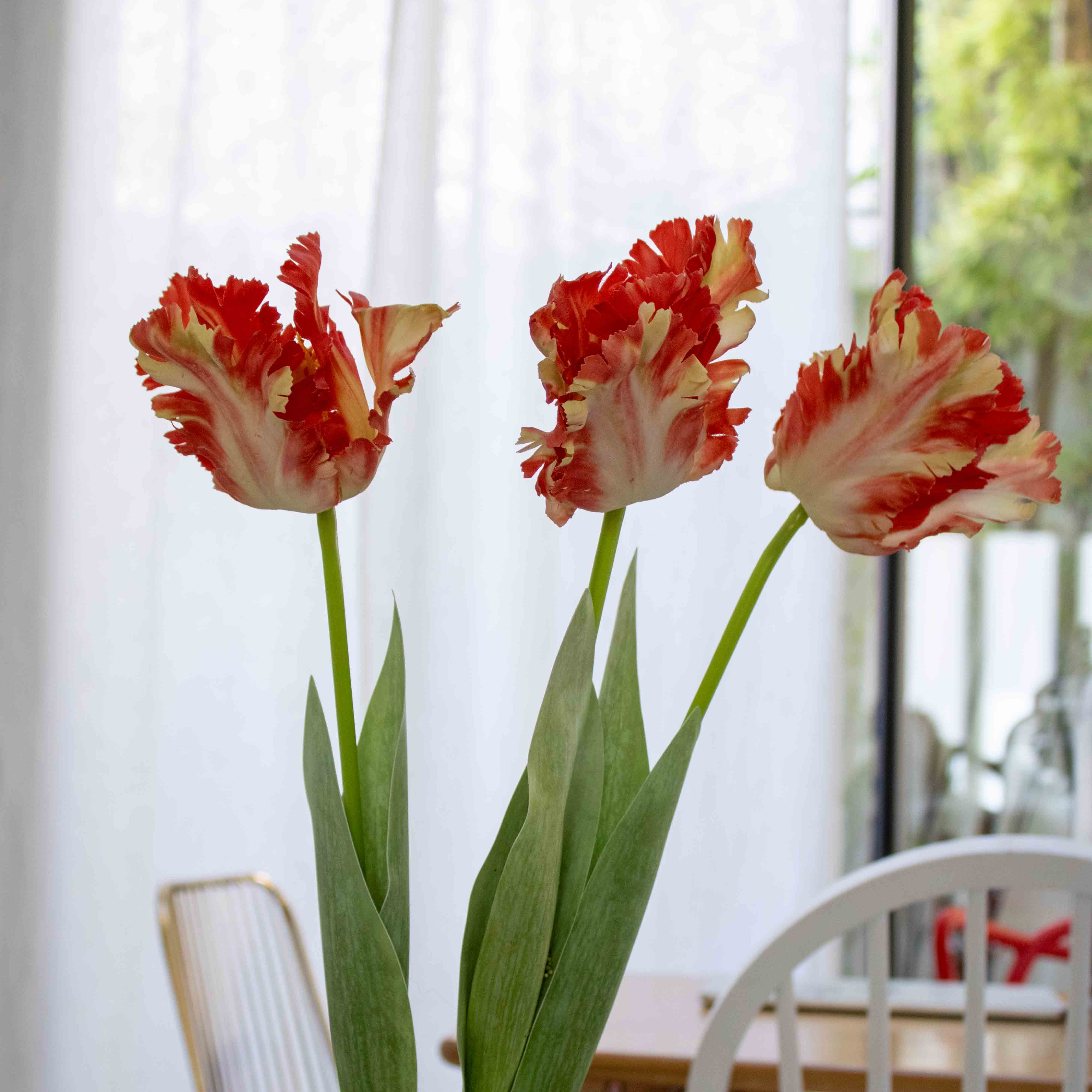 Flowrette Tulipe perroquet orange fleur artificielle x1 Real Touch