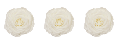 Feuillazur Rungis Rose stabilisée x3 rouge 6 cm durable