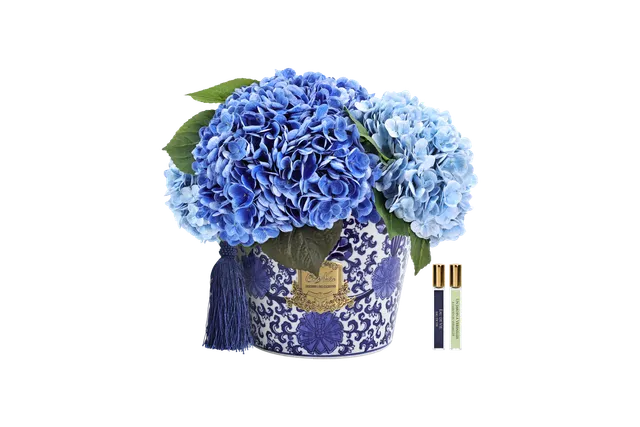 Côte Noire Hydrangeas OH03 bouquet hortensia bleu mixte