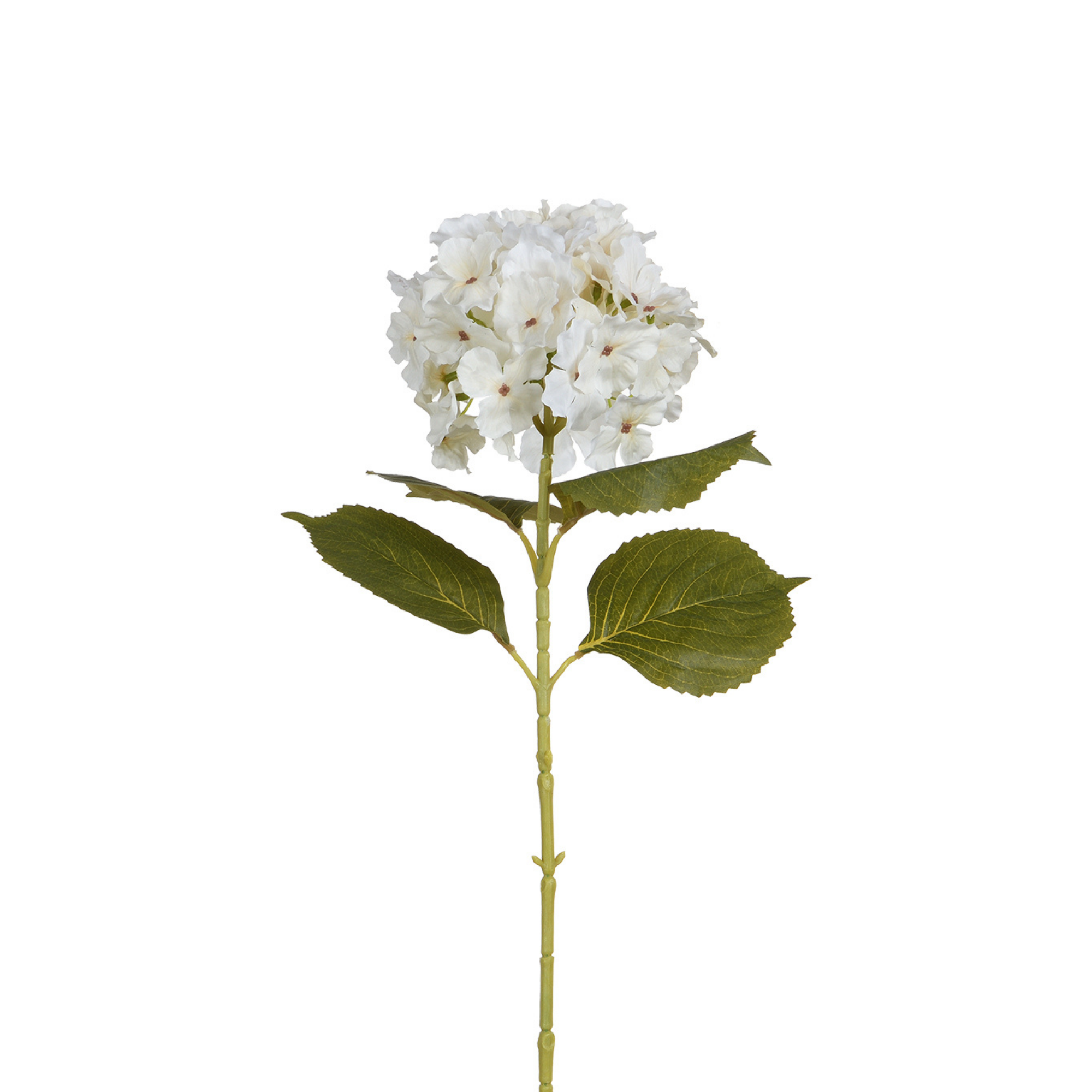Sia Home Hortensia 68 cm fleur artificielle marron