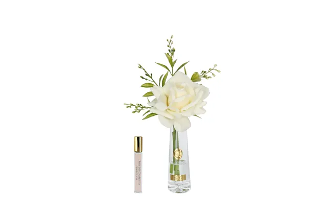 Côte Noire Summer Roses SRG15 bouquet roses champagne
