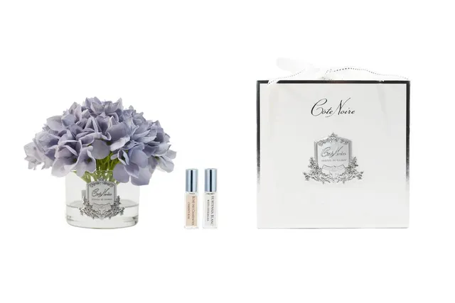 Côte Noire hortensia bleu vase five rose GMH05