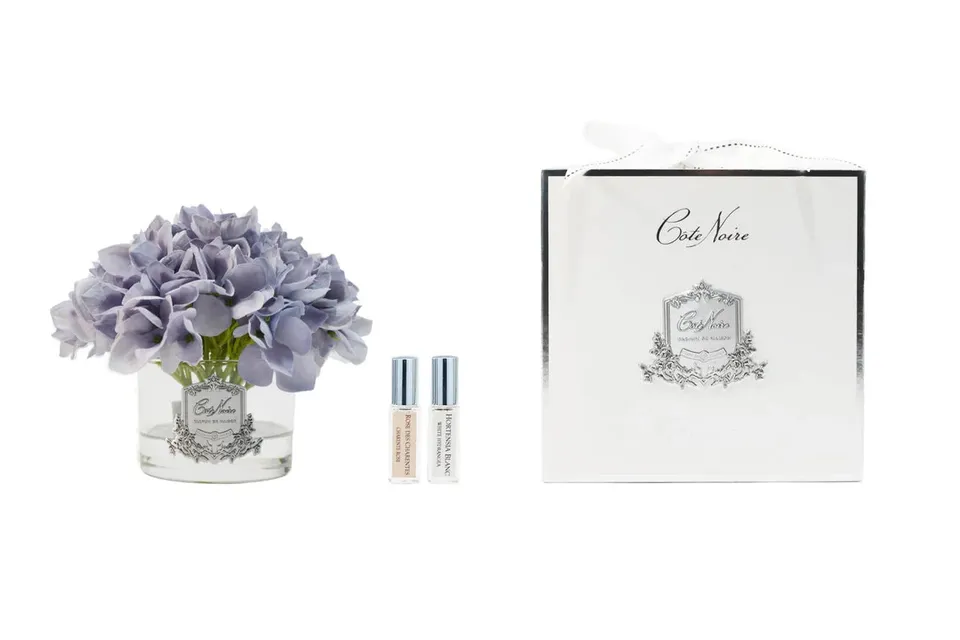 Côte Noire hortensia bleu vase five rose GMH05