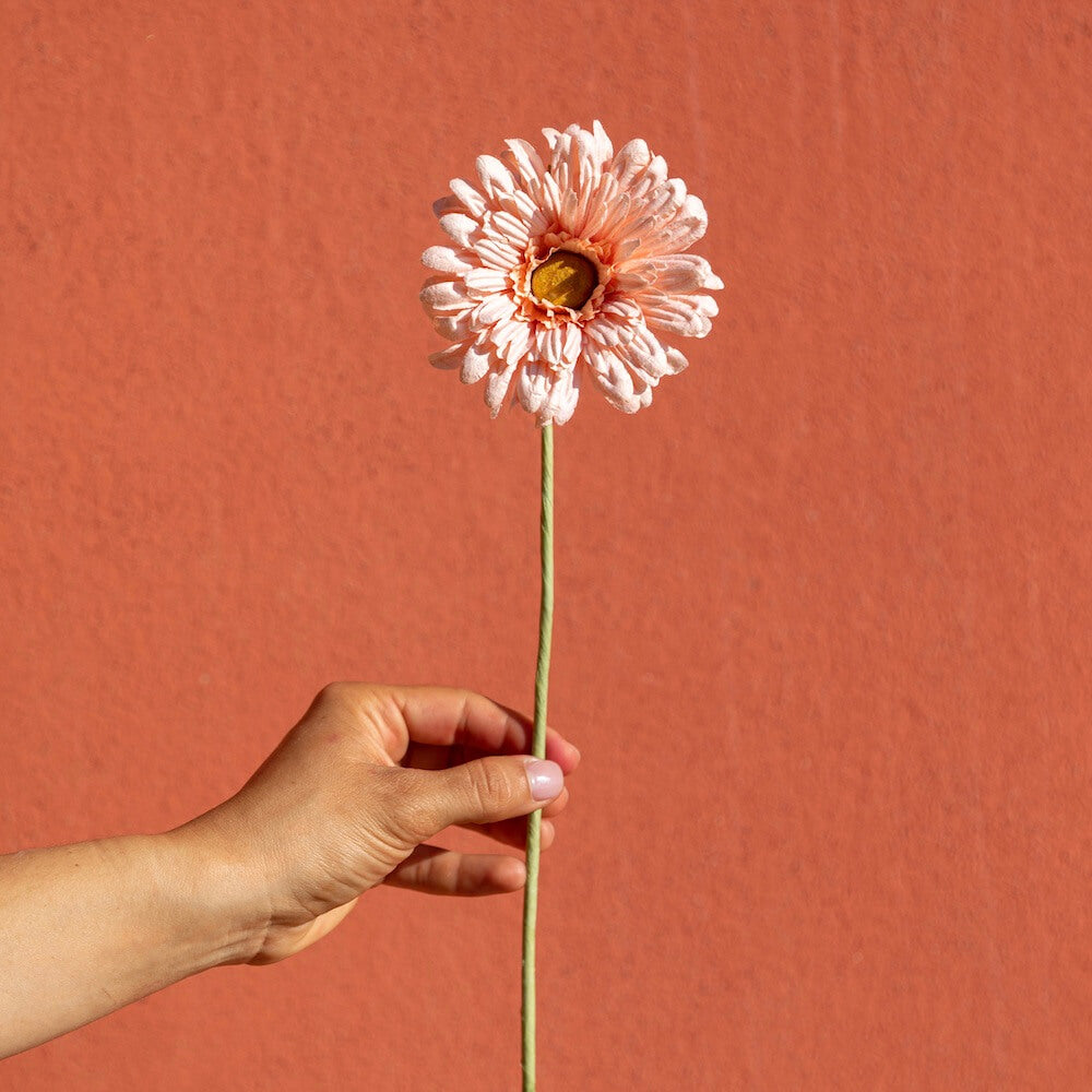 Flowrette Gerbera fleur papier abricot x1 durable