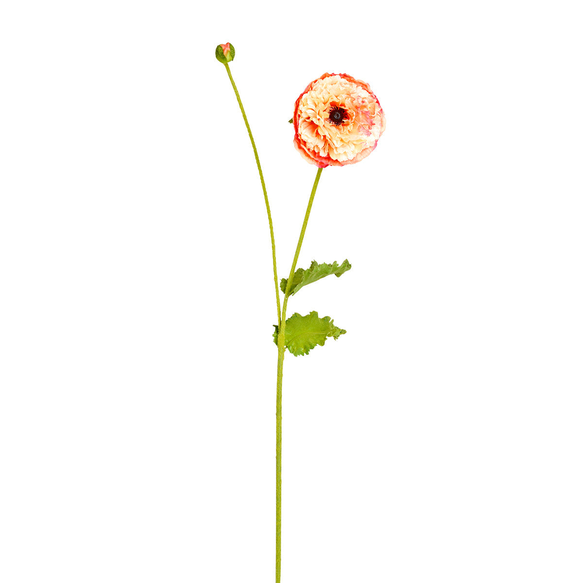 Sia Home Pipa tige coquelicot artificiel rouge 75 cm