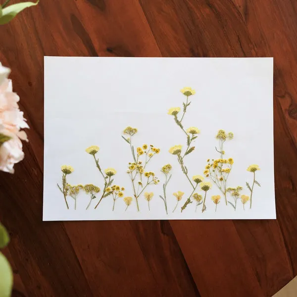 Flowrette Country herbier fleurs séchées A3 sans cadre