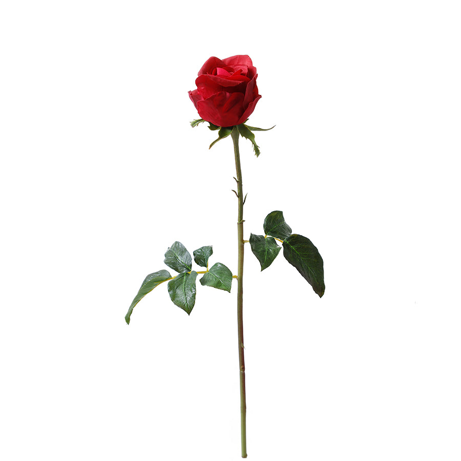 Sia Home Dutchess tige rose 50 cm rouge premium
