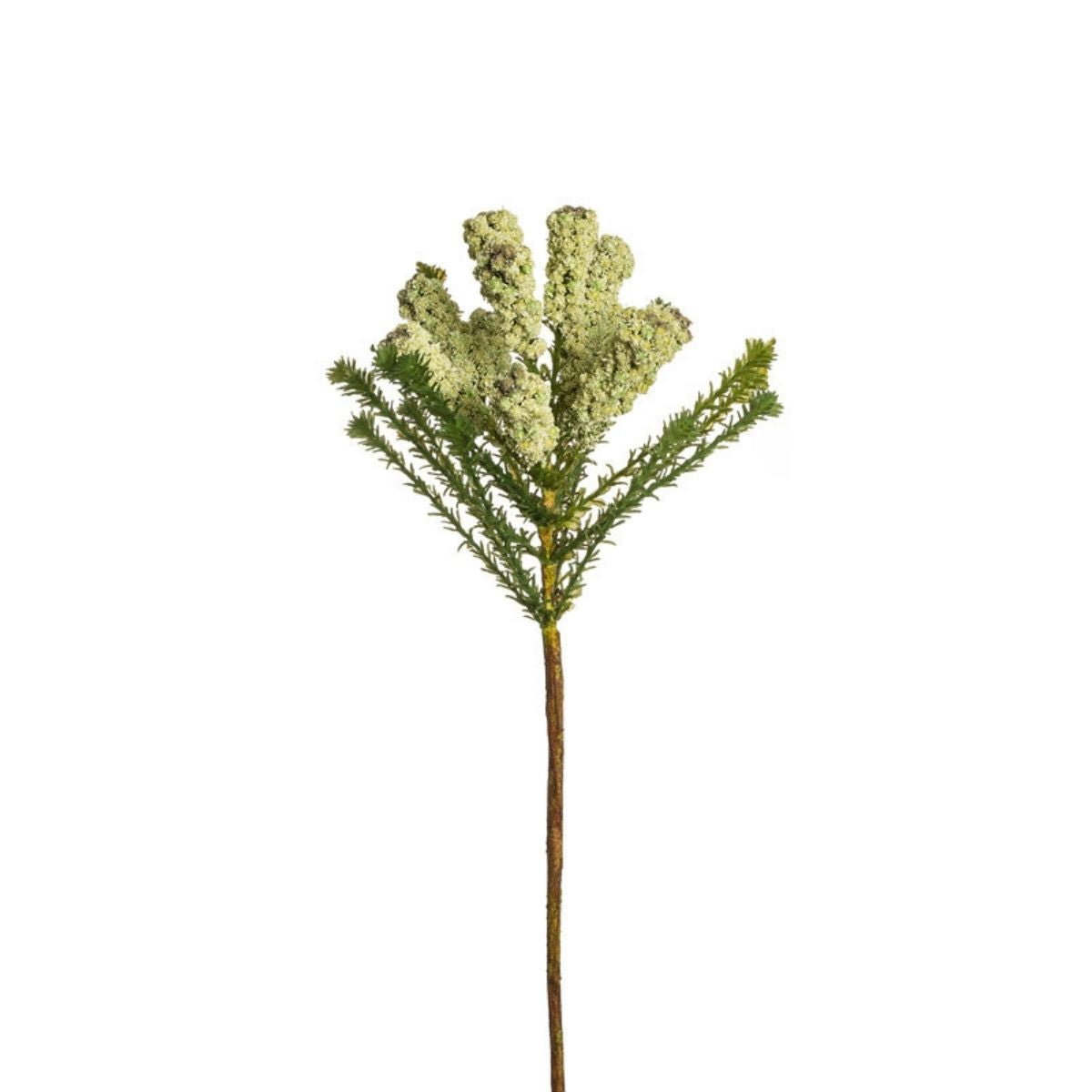 Sia Home Pin africain feuillage artificiel crème vert 48 cm