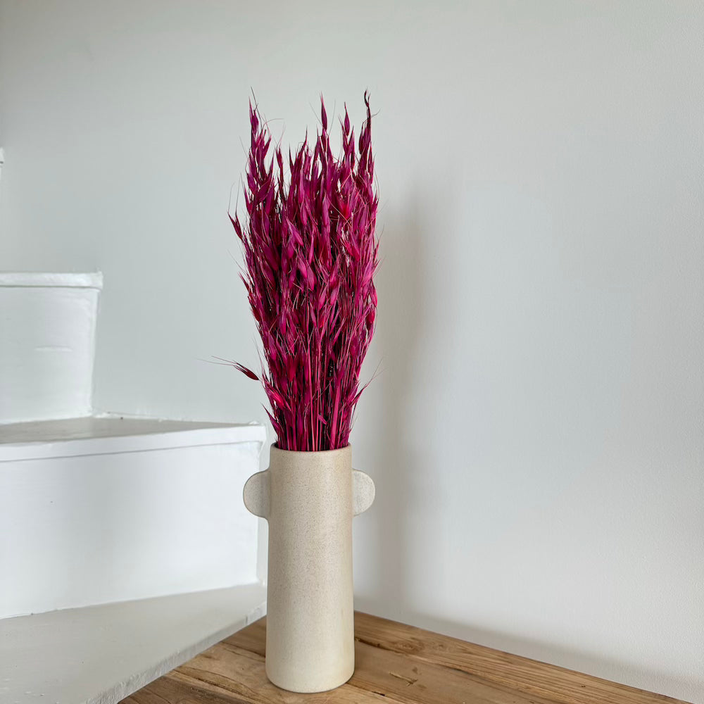 Flowrette Avoine Bordeaux fleurs séchées botte x1