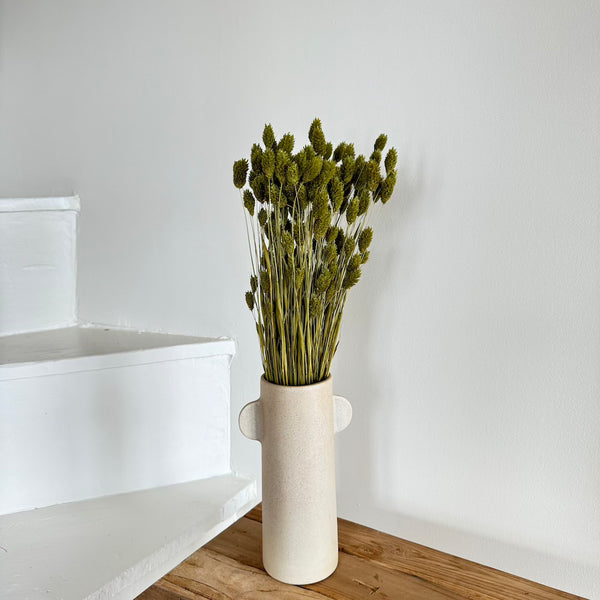 Flowrette Fleurs séchées botte phalaris vert olive séché