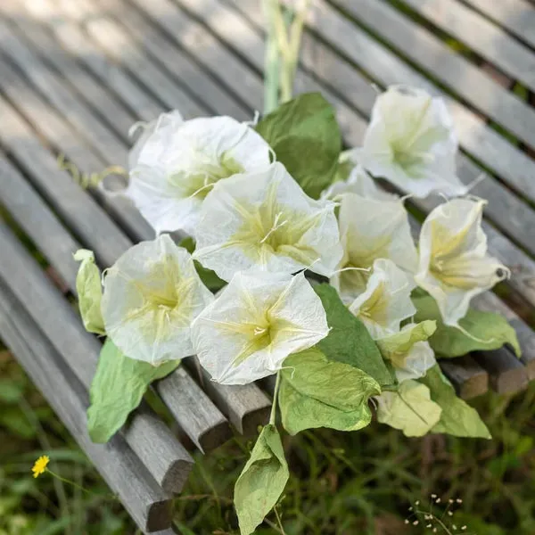 Flowrette Fleurs en papier Morning Glory fleur blanche verte