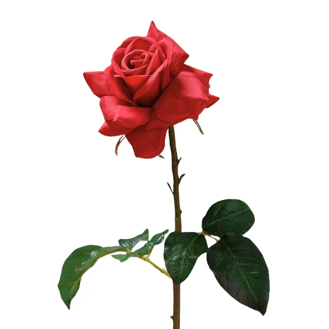 Sia Home Tiges de Fleurs artificielles Rose Dutchess 50 cm rouge