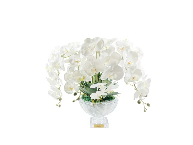 Côte Noire Centrepiece CPO01 bouquet orchidées blanches 50 cm