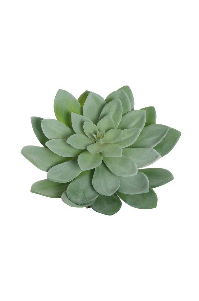 Feuillazur Rungis Echeveria artificiel vert/gris 26x23cm