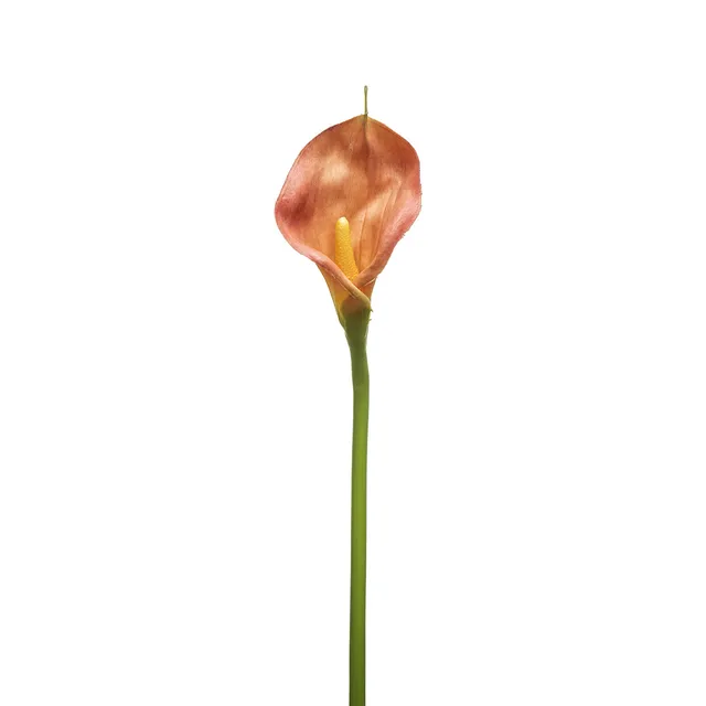 Sia Home Kelly tige arum artificiel orange 78 cm