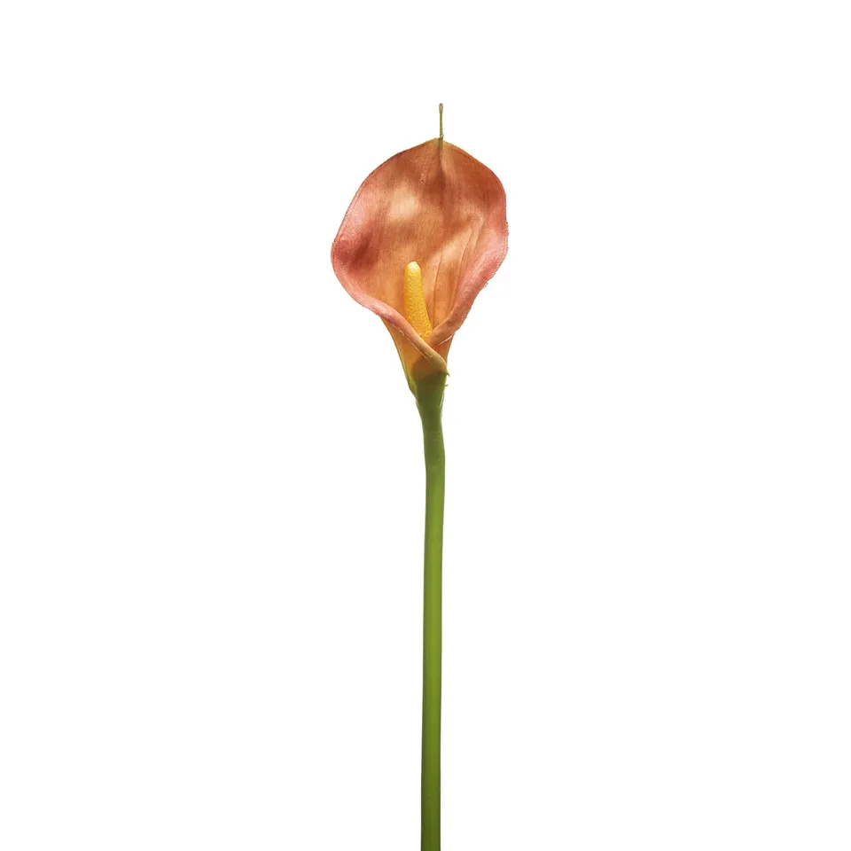 Sia Home Kelly tige arum artificiel orange 78 cm