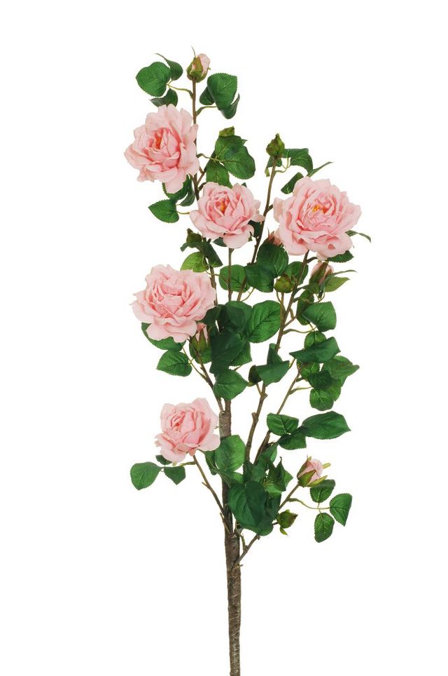 Feuillazur Rungis Rose de jardin sur tige saumon 103 cm