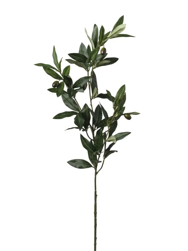 Feuillazur Rungis olivier branche stabilisée verte 80cm