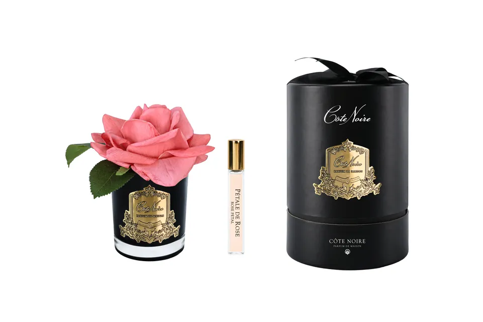 Côte Noire RMRB05 fleurs parfumées rose pêche vase noir