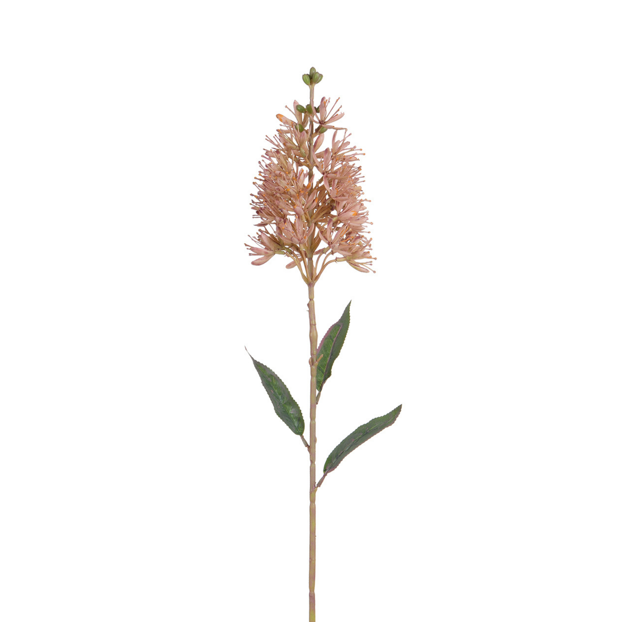 Sia Home Allium tige fleur artificielle 78 cm blanc