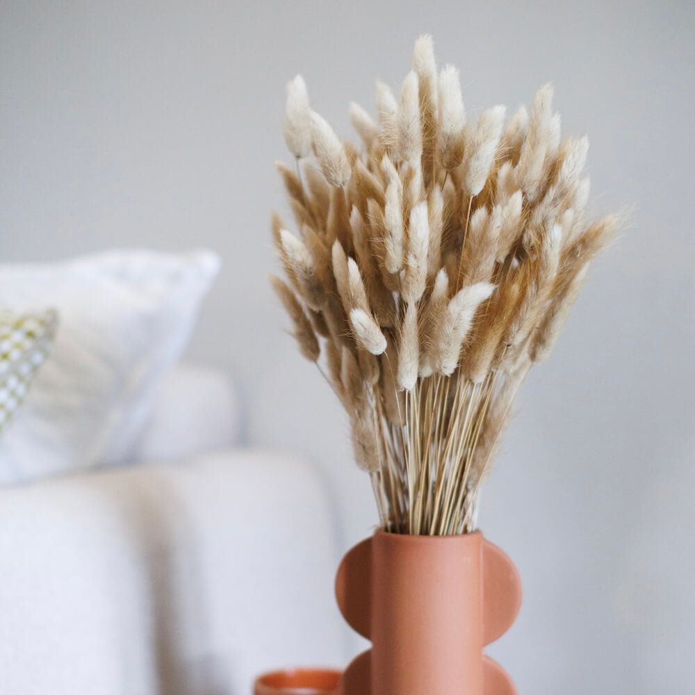 Flowrette Lagurus naturels botte fleurs séchées x1 duveteux