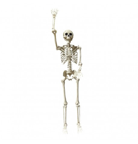 Feuillazur Rungis squelette articulé géant déco Halloween