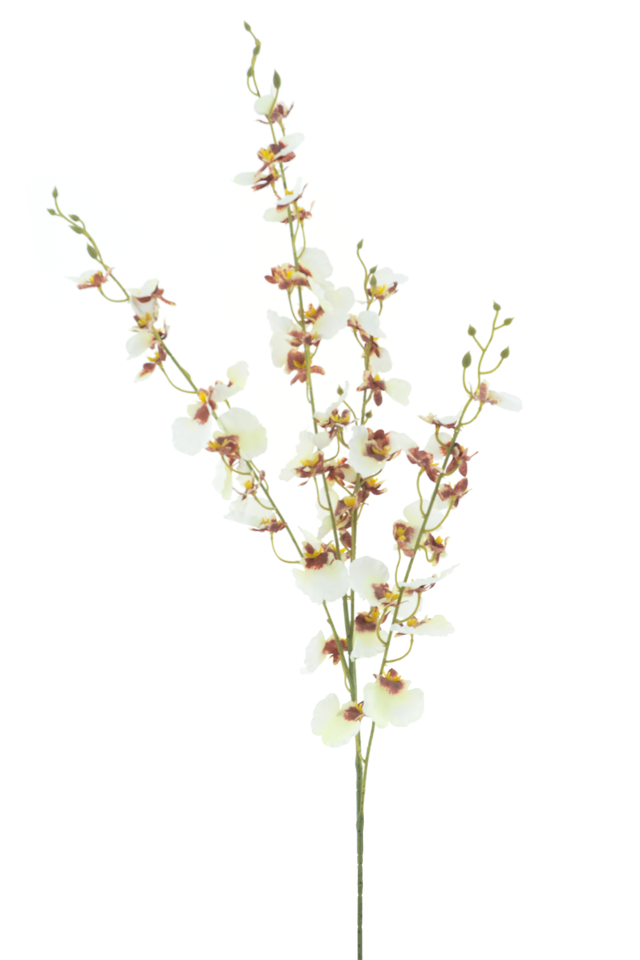 Feuillazur Rungis Oncidium branche orchidée jaune 93cm artificielle