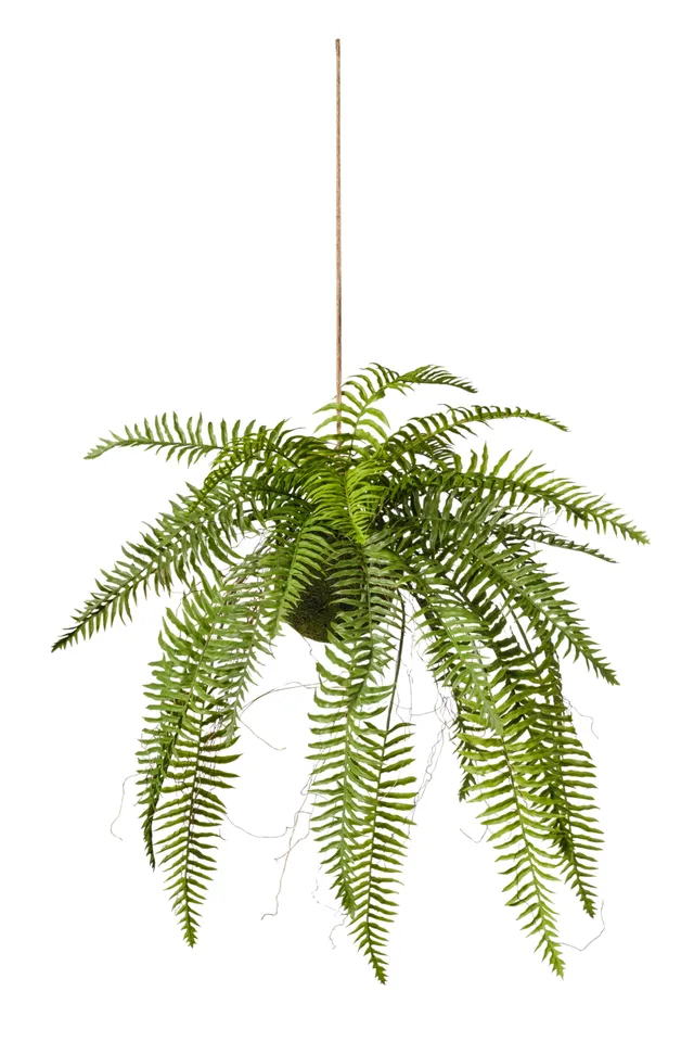 Feuillazur Rungis fern plante artificielle verte 45x45x99cm