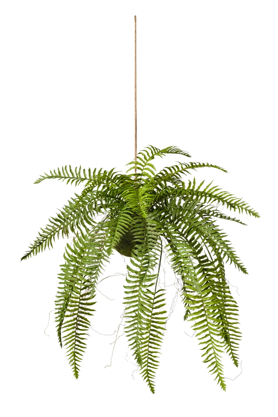 Feuillazur Rungis fern plante artificielle verte 45x45x99cm