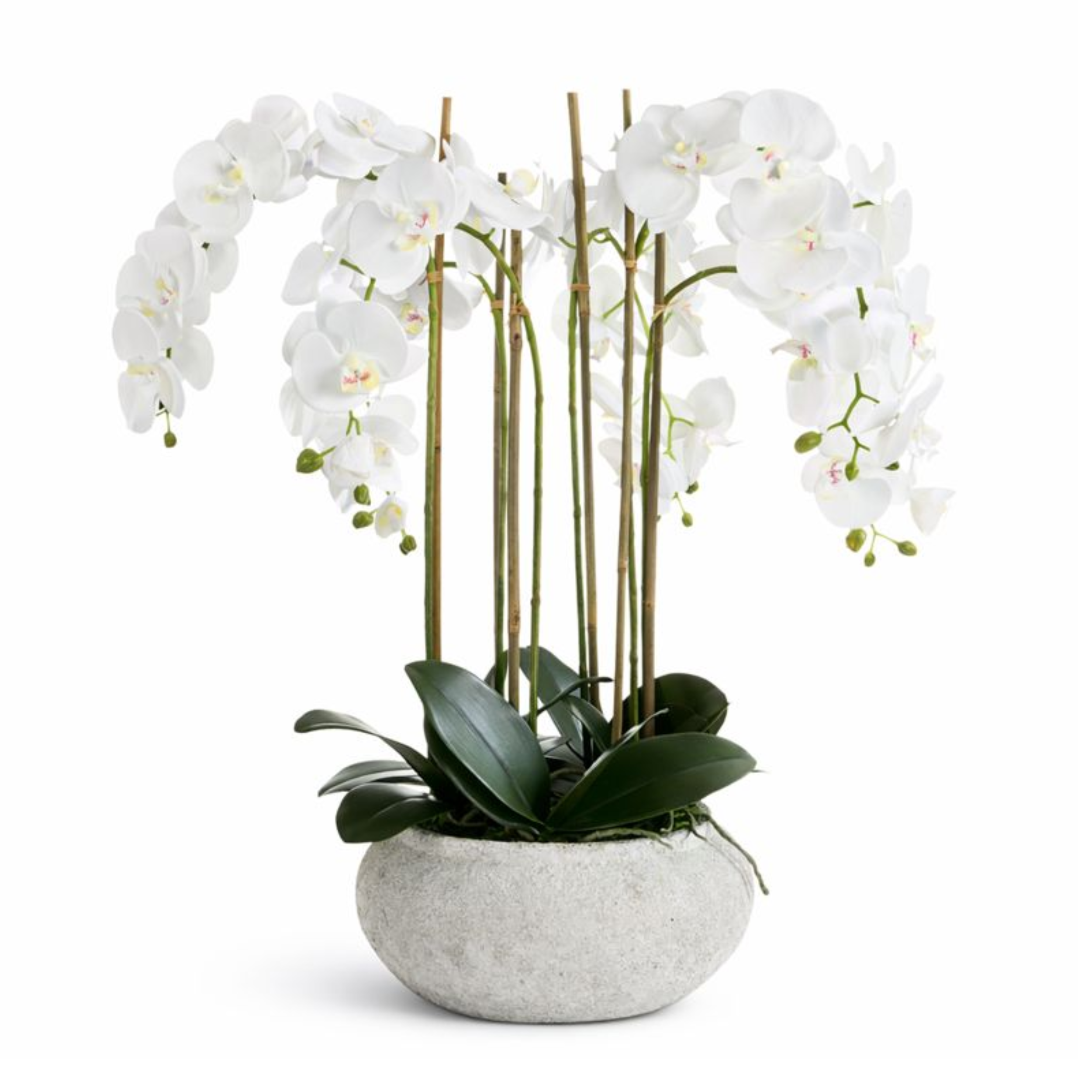 Sia Serena 85 cm composition orchidée blanche vase céramique