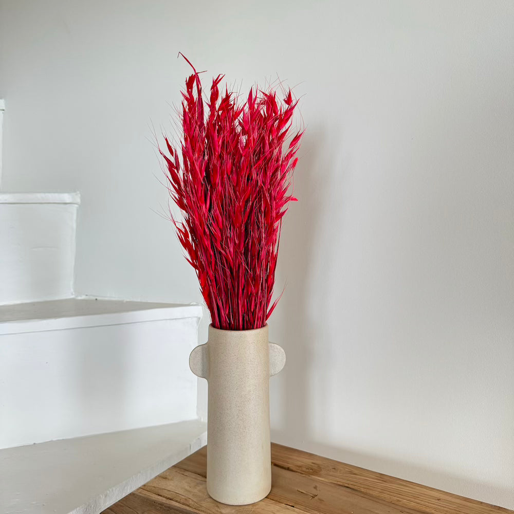Flowrette Avoine rouge fleurs séchées botte x1