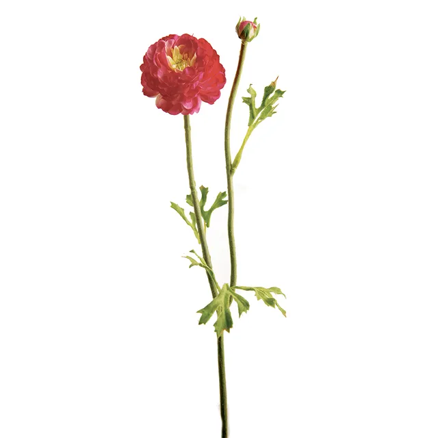 Sia Home Mathilda tige renoncule artificielle rouge 36 cm