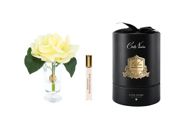 Côte Noire Perfumed Flowers CHR08 fleur parfumée jaune