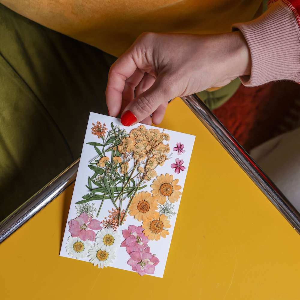 Flowrette Loisirs créatifs pochette fleurs pressées roses