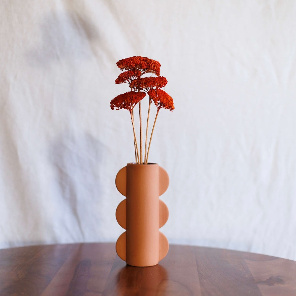 Flowrette Achillée Parker botte fleurs séchées rouge x1
