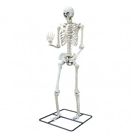 Feuillazur Rungis Squelette Géant LCD déco Halloween