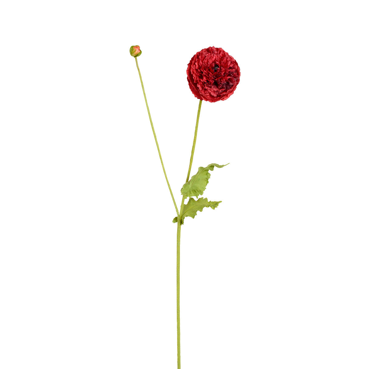 Sia Home Pipa tige coquelicot artificiel rouge 75 cm