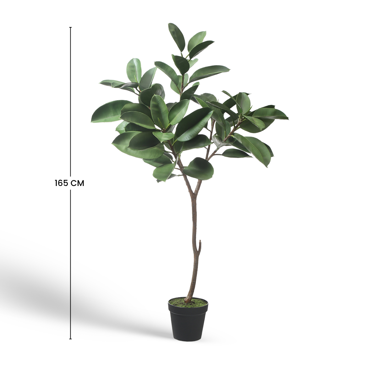 Sia Arbres artificiels Ficus en pot 165 cm vert